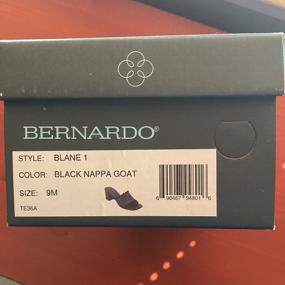 Bernardo Blane 1 Slides - Picture 7 of 7